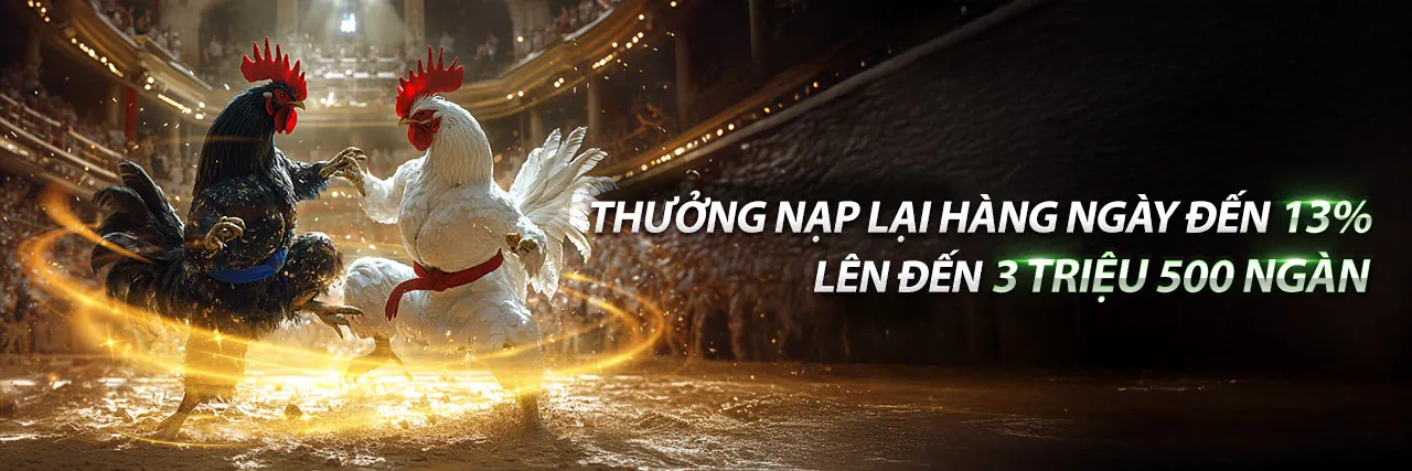 Hình ảnh chính về cờ bạc có trách nhiệm của VE88